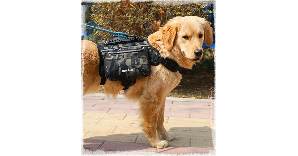Harnais de randonnée pour chiens - Petits Compagnons